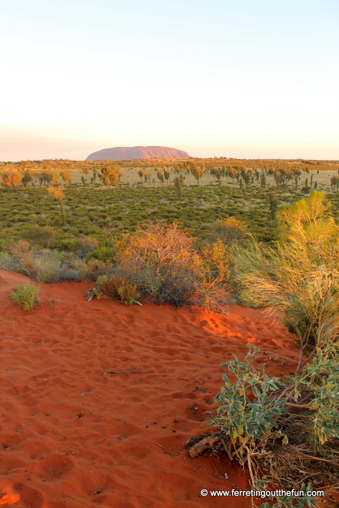 A desert sunset in Uluru National Park, Australia