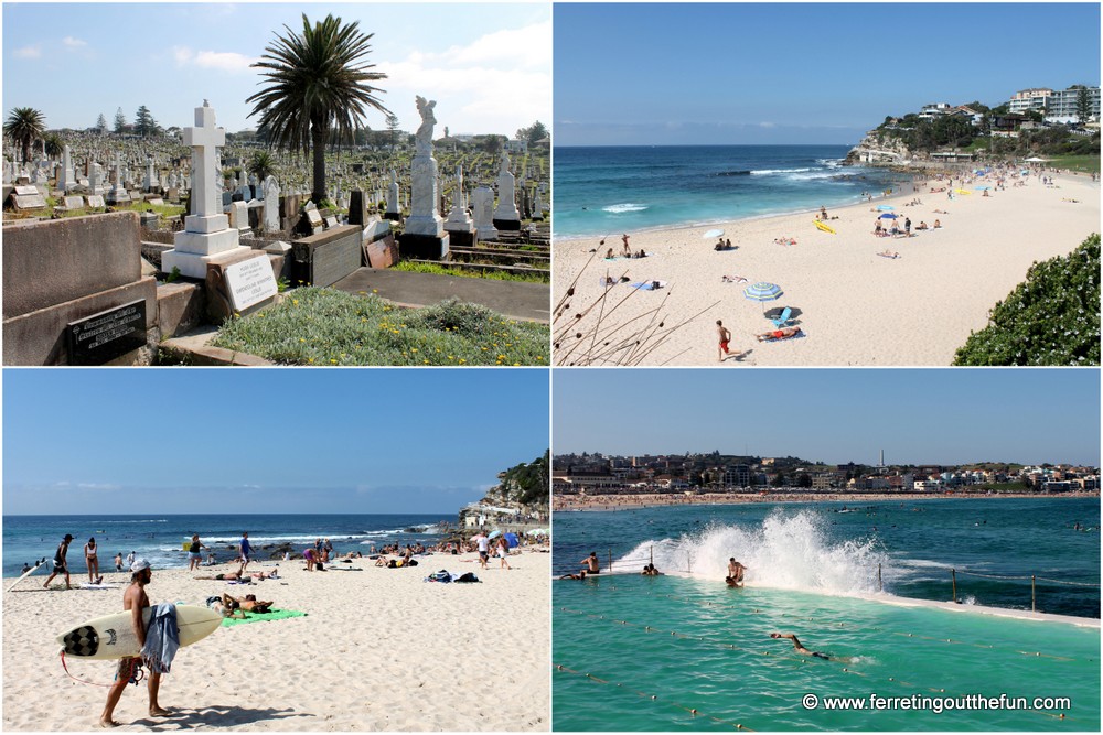 Bondi to Coogee Walk Sydney