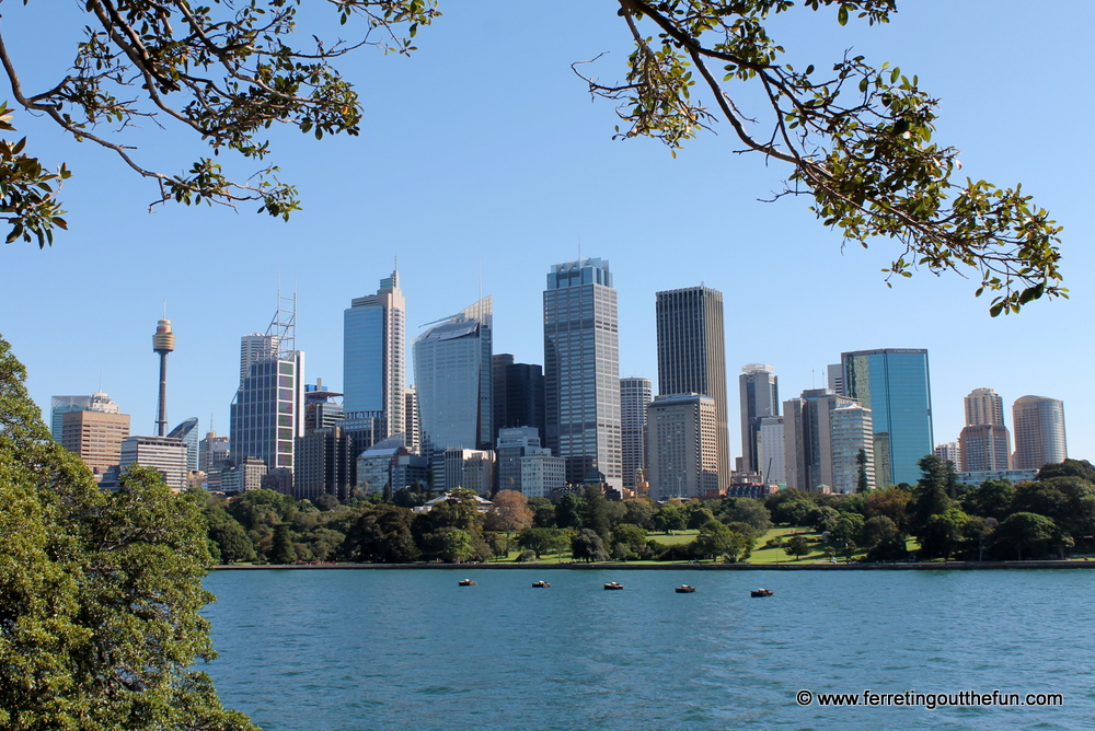 sydney skyline