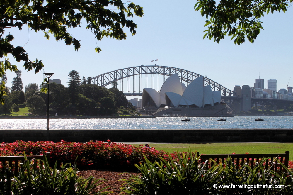 sydney botanical gardens