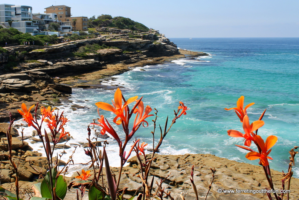 sydney coastal scenery