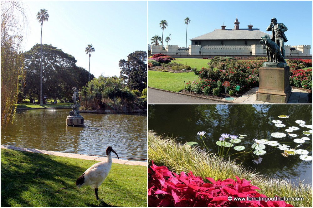 royal botanic garden sydney