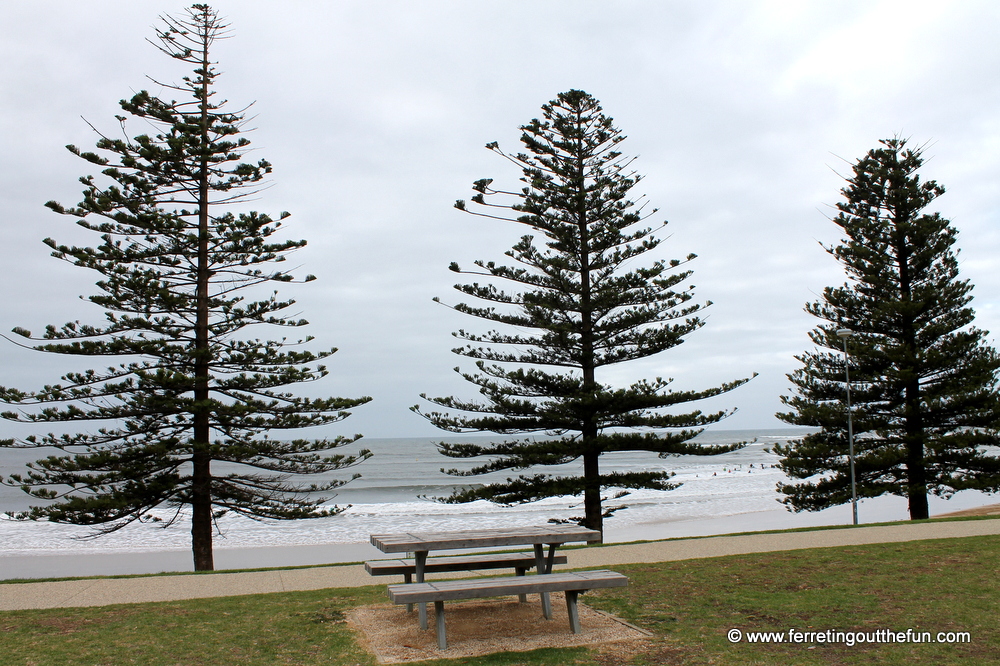 great ocean road tour breakfast stop