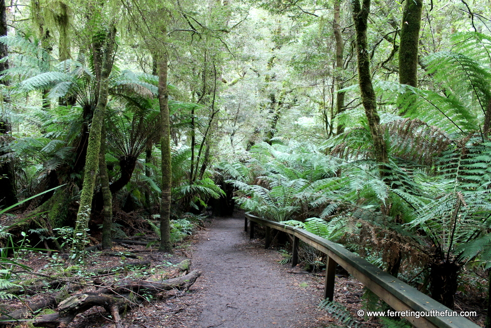 great otway national park