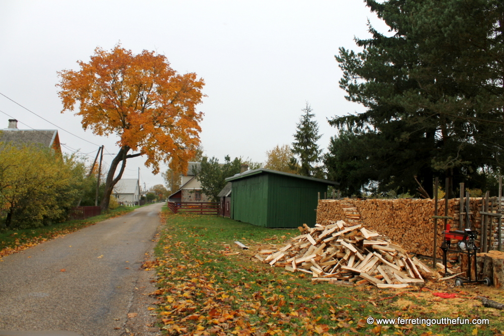 chopping wood in estonia