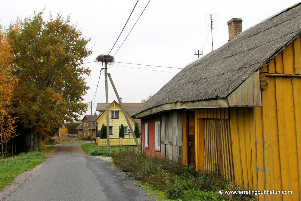 storks nest estonia