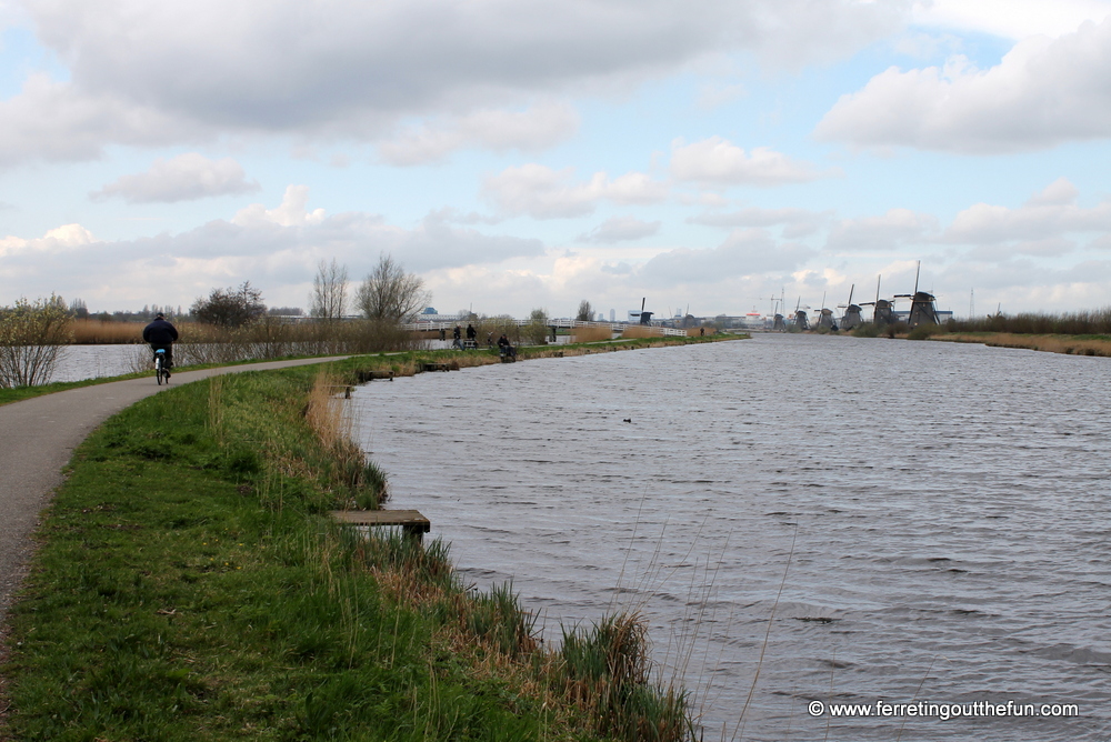 Kinderdijk bike ride