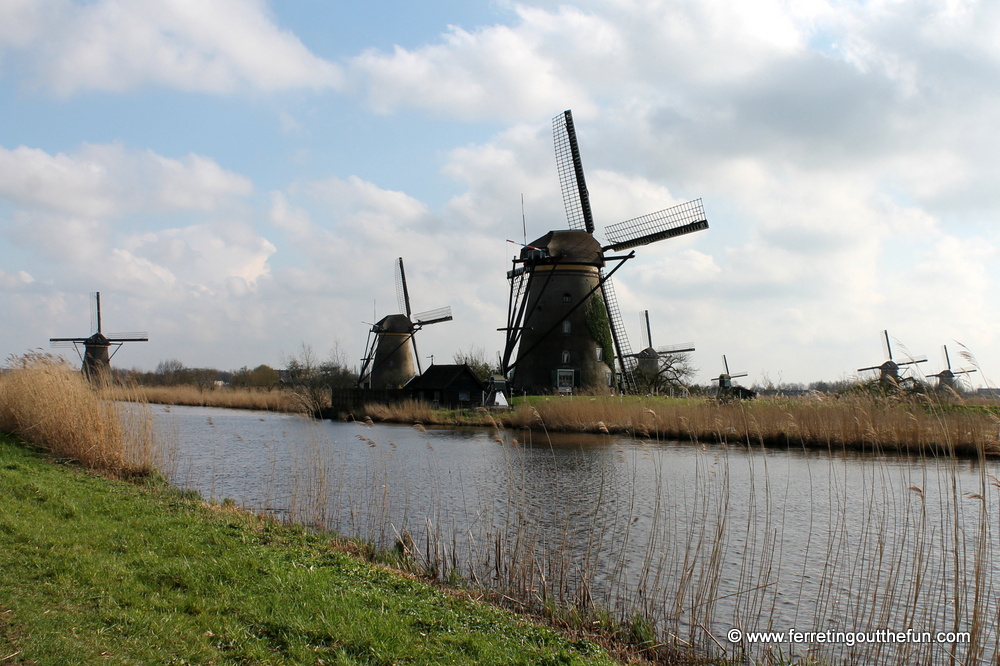 kinderdijk day trip