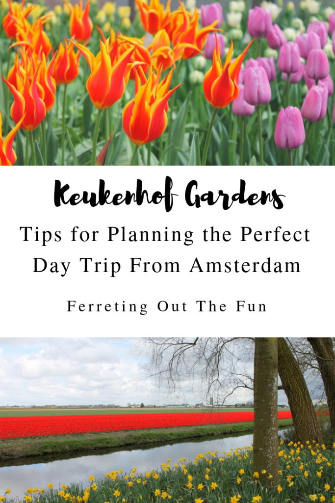 Tips for visiting Keukenhof Gardens on a day trip from Amsterdam // #traveltips #netherlands #spring #flowers