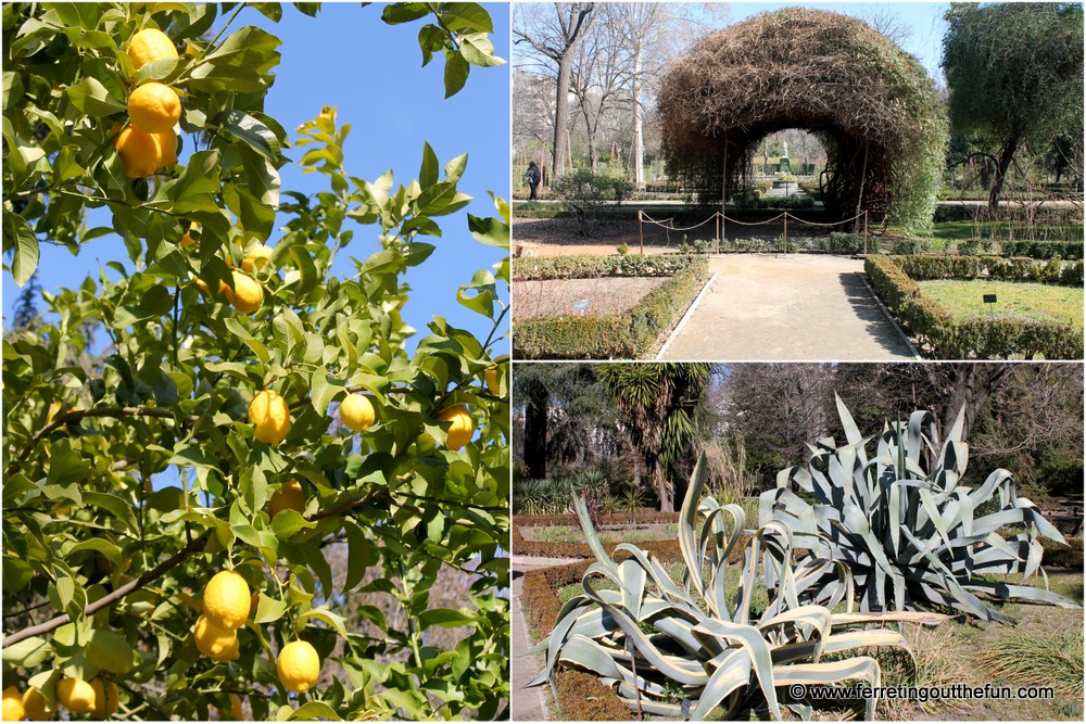 Royal Botanical Gardens Madrid