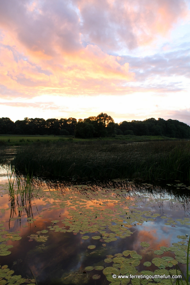 A fiery sunset in the Latvian countryside.