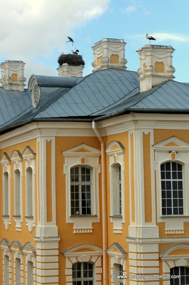 Storks have made themselves at home at Rundale Palace, Latvia