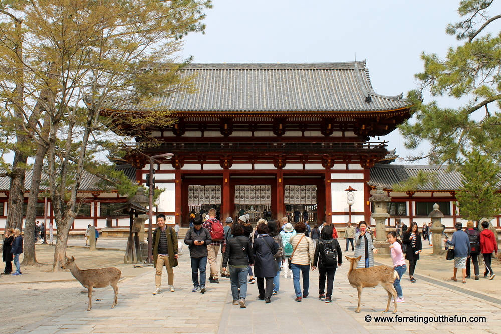 Nara Japan