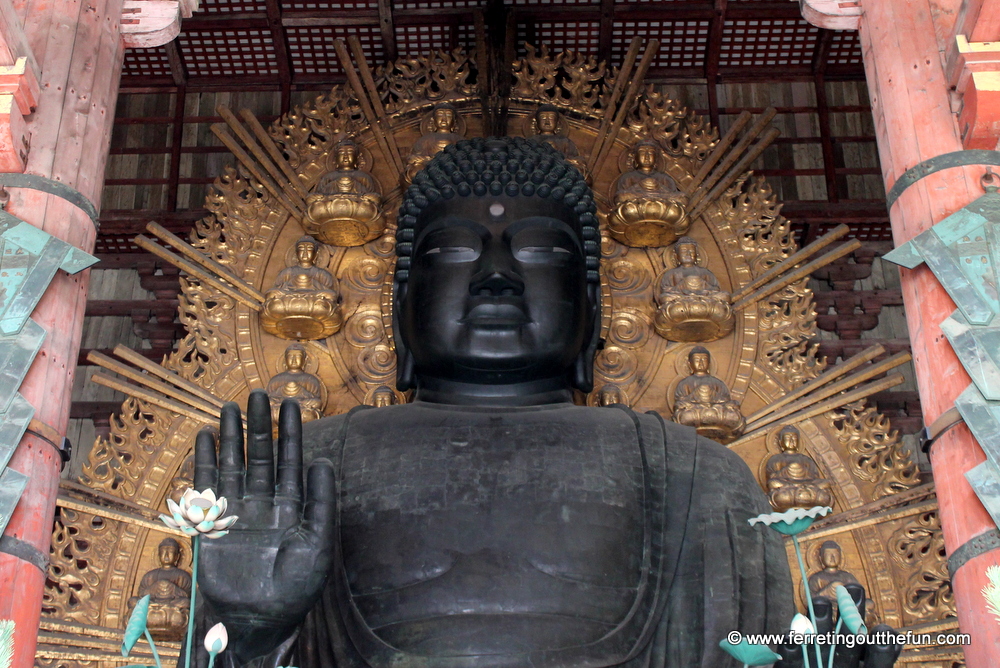 Nara Great Buddha Japan