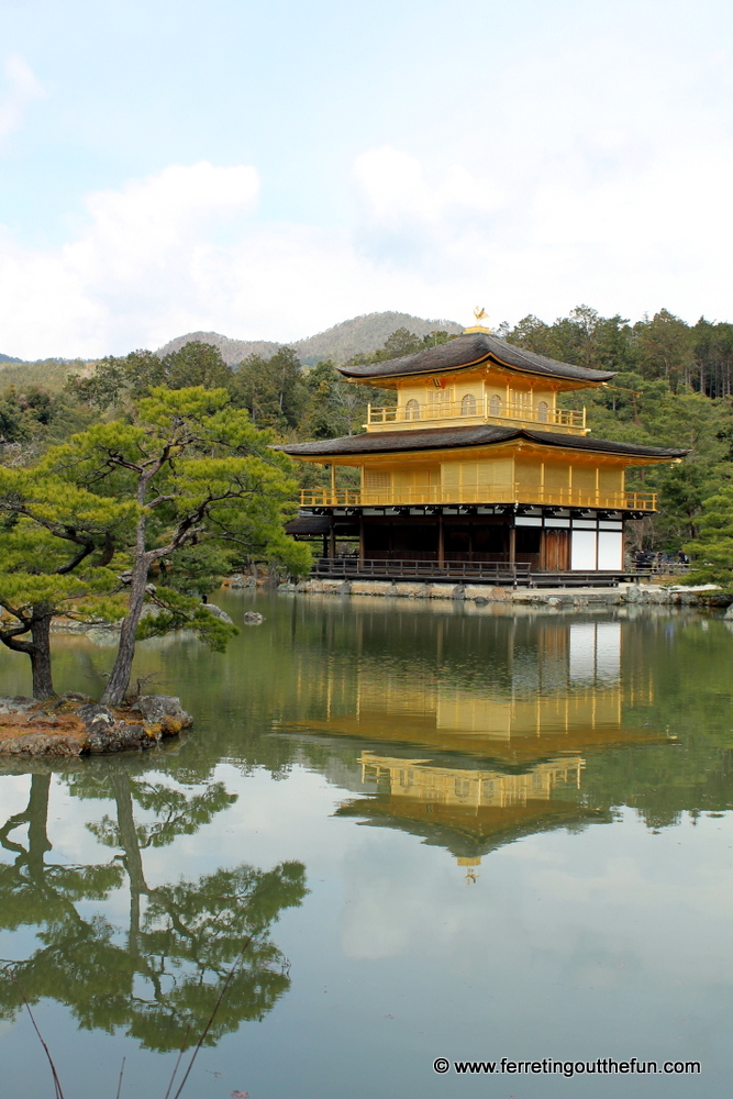 Golden temple reflections in Kyoto, Japan