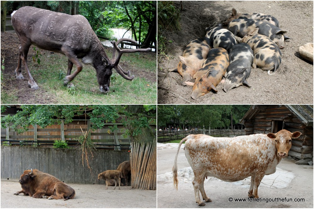 Skansen zoo