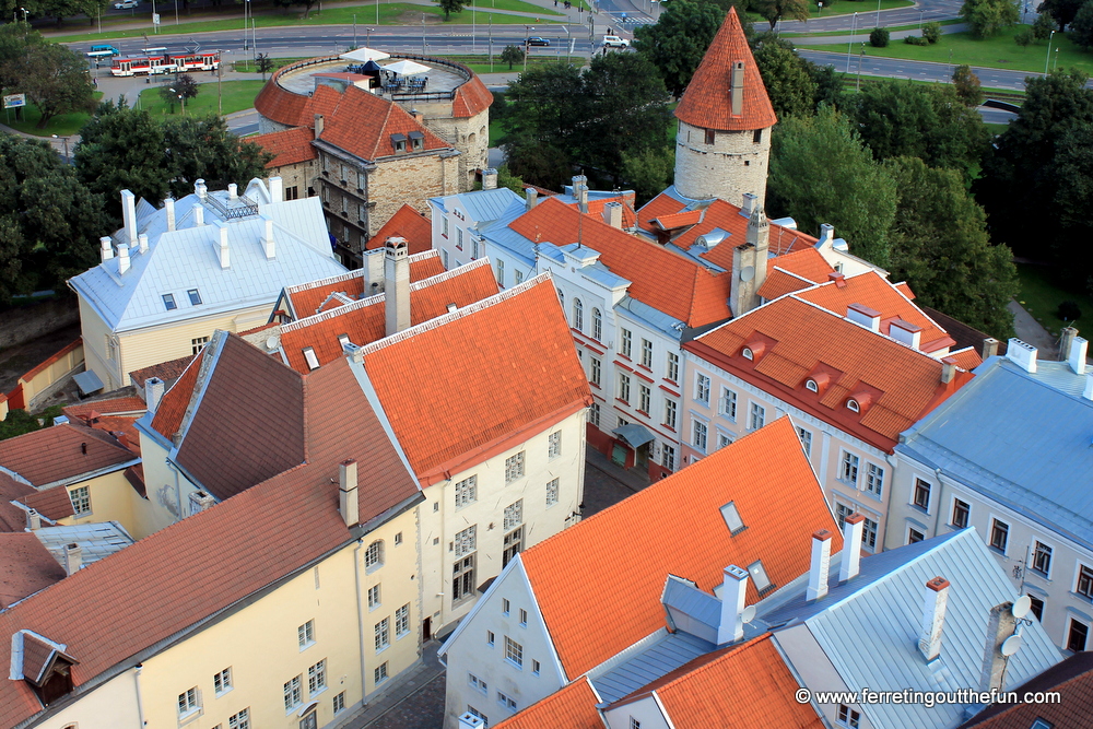 tallinn old town