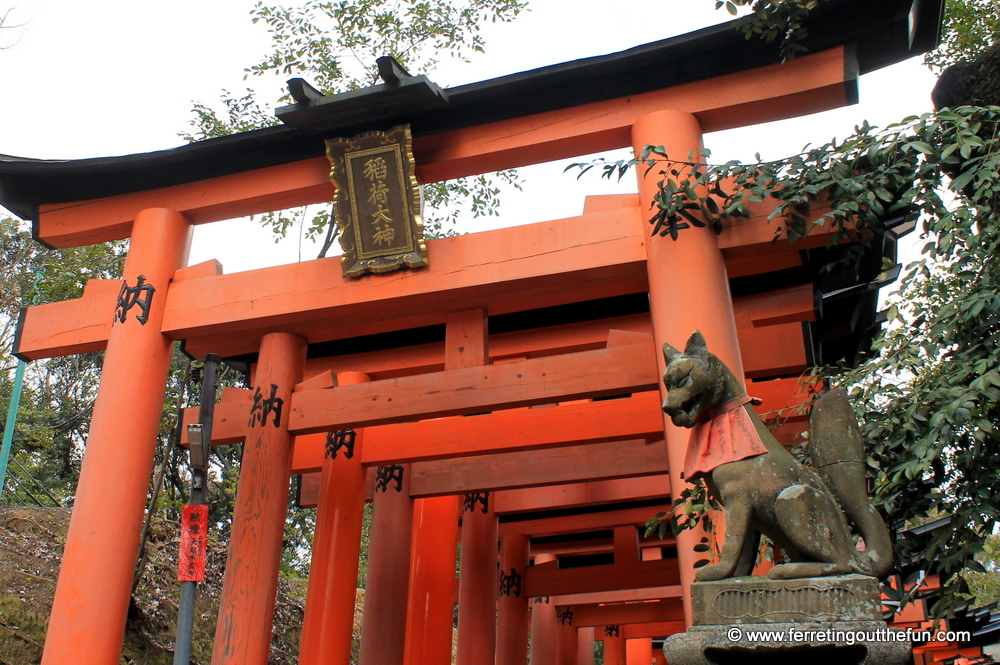 fushimi inari fox