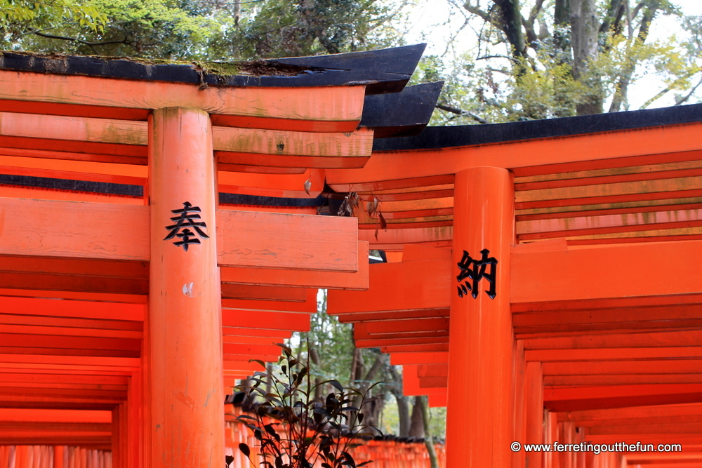 fushimi inari kyoto