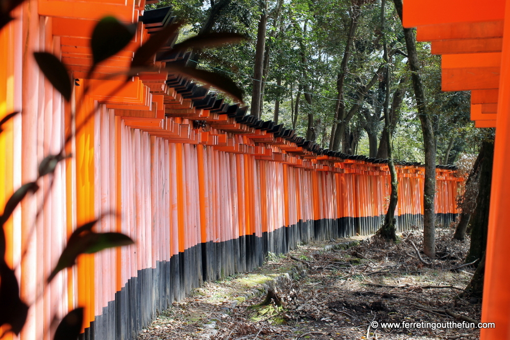 fushimi inari kyoto