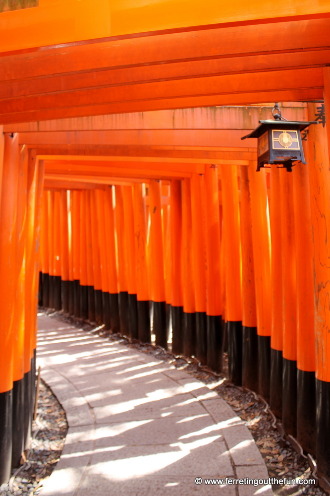 A tunnel of vermilion torii gates at Fushimi Inari in Kyoto, Japan