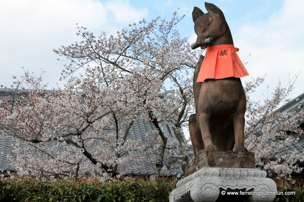 fushimi inari fox