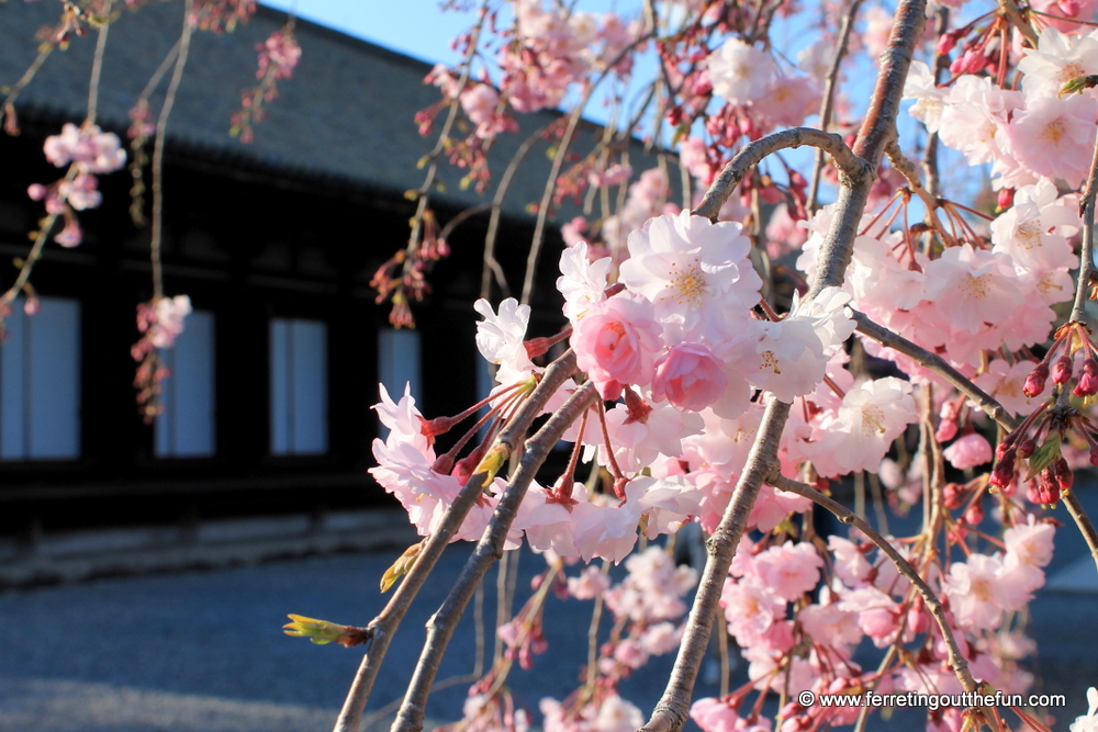 Sanjusangen-do kyoto