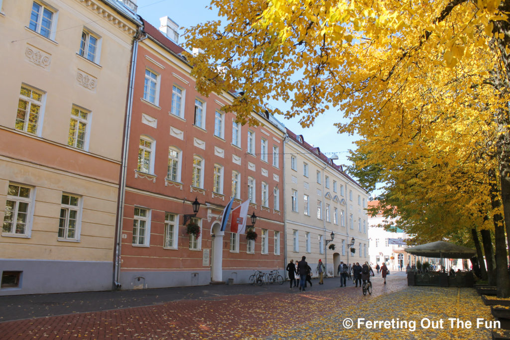 estonia in october