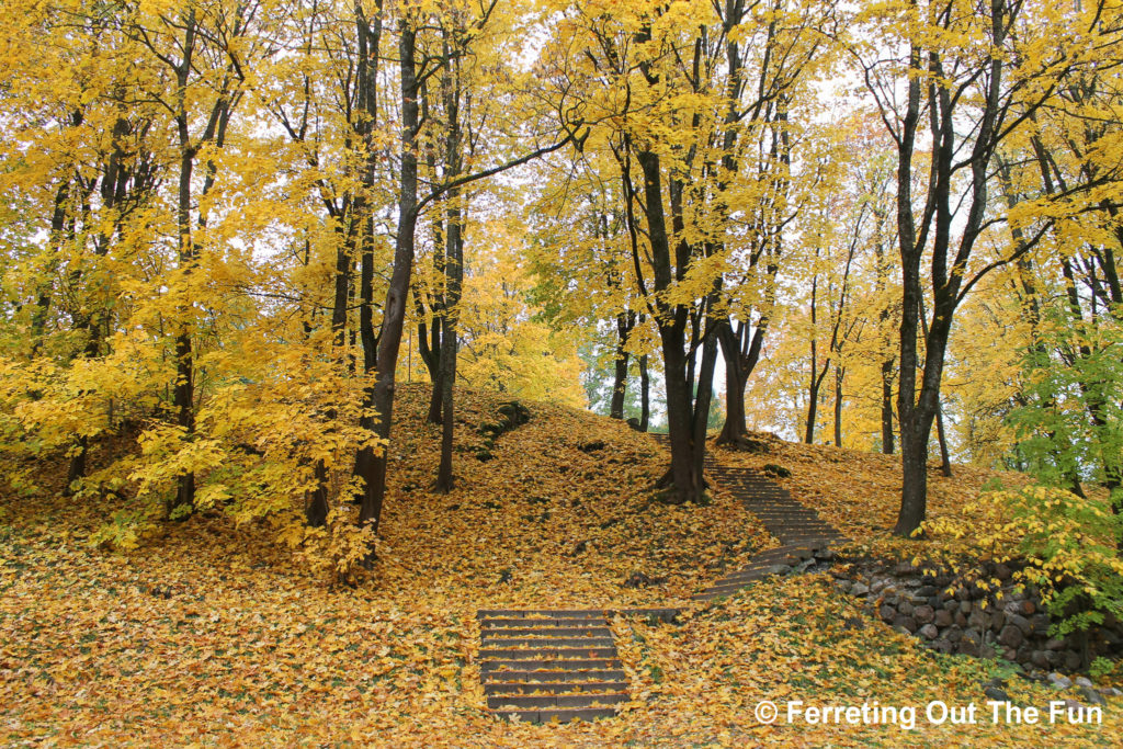 estonia in autumn