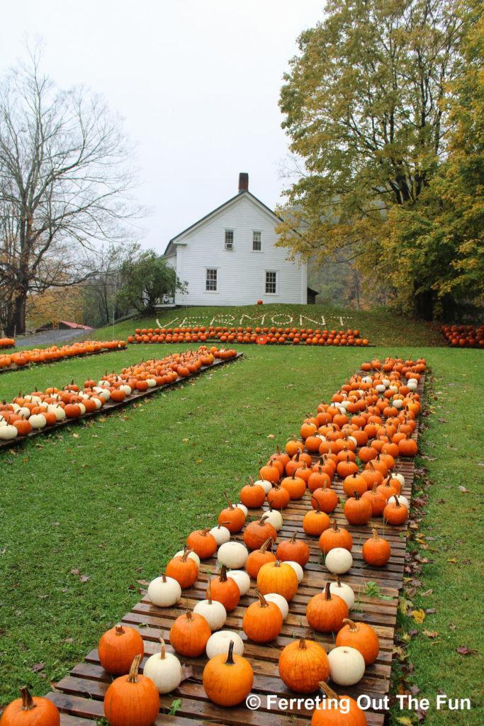 Autumn abundance in Bennington, Vermont // fall pumpkins