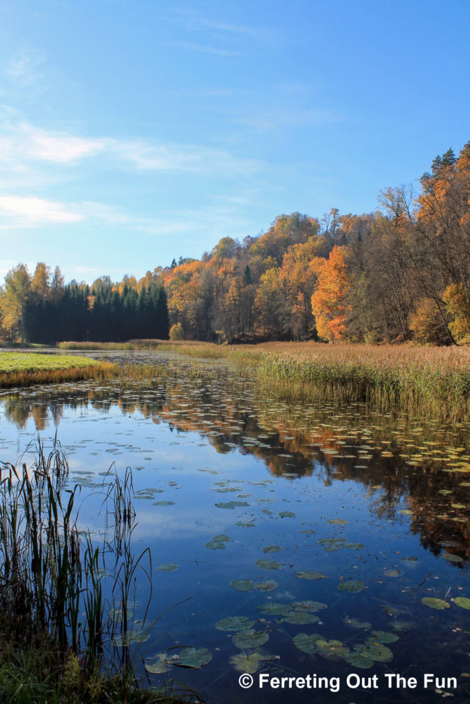 Autumn in Gauja National Park, Latvia