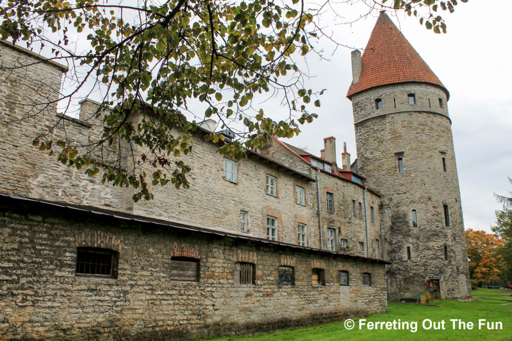 tallinn city walls