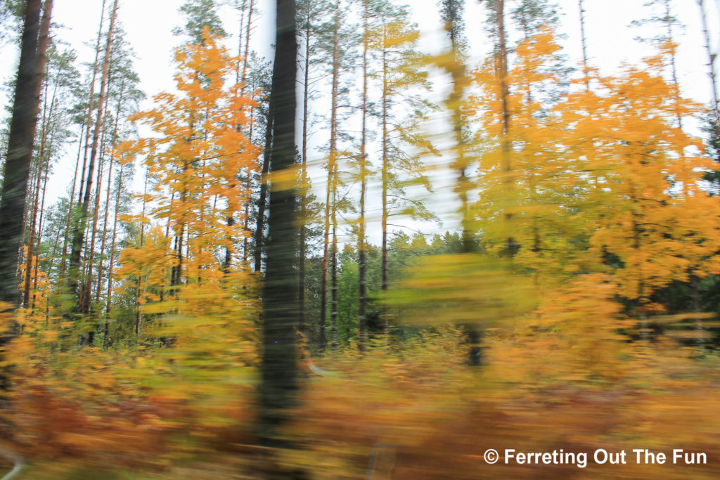 estonia in autumn