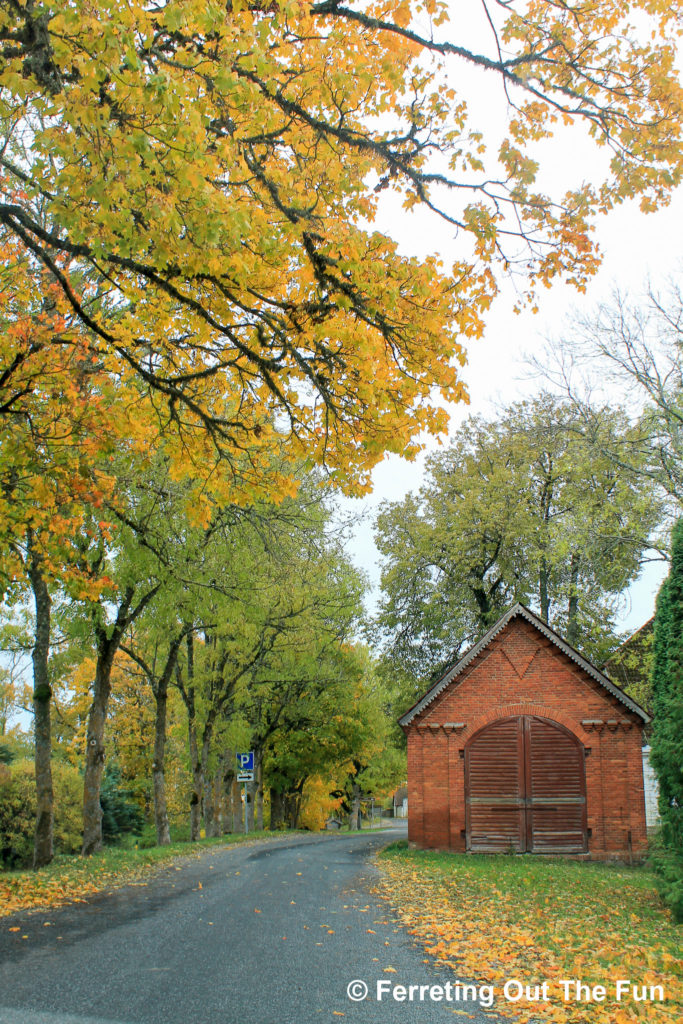 An autumn drive through Lahemaa National Park, Estonia