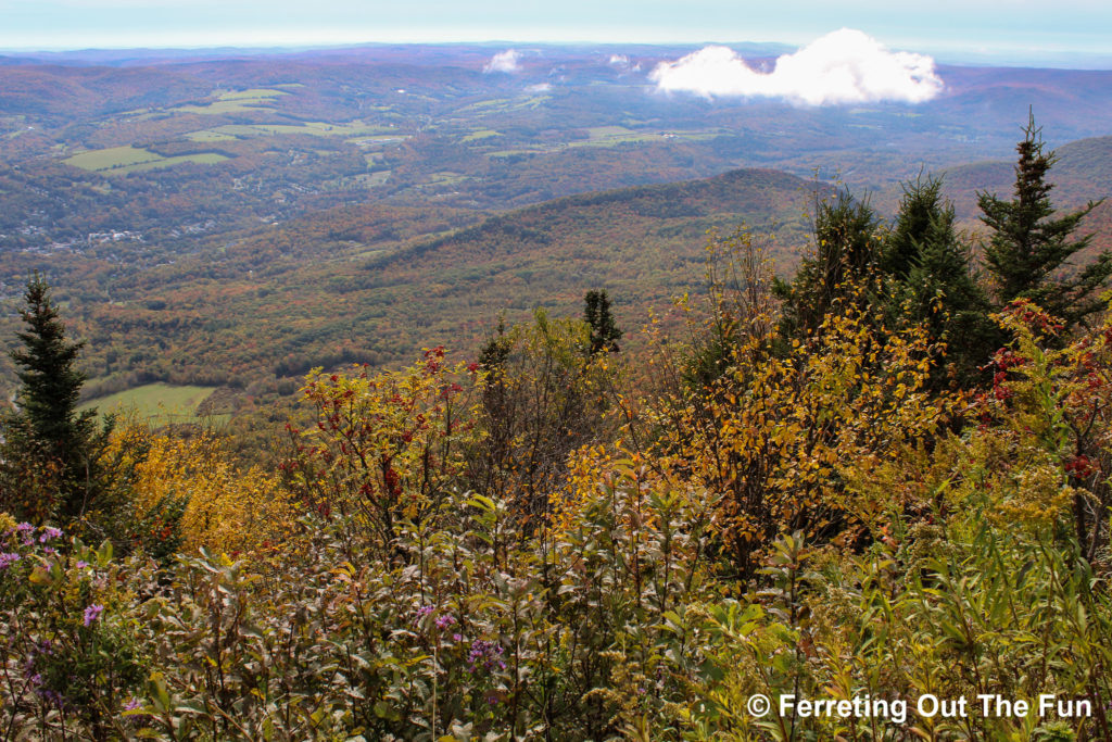 mount greylock summit