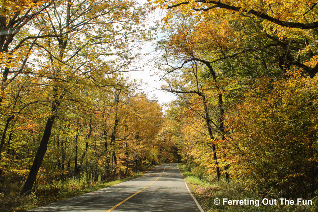 massachusetts autumn foliage