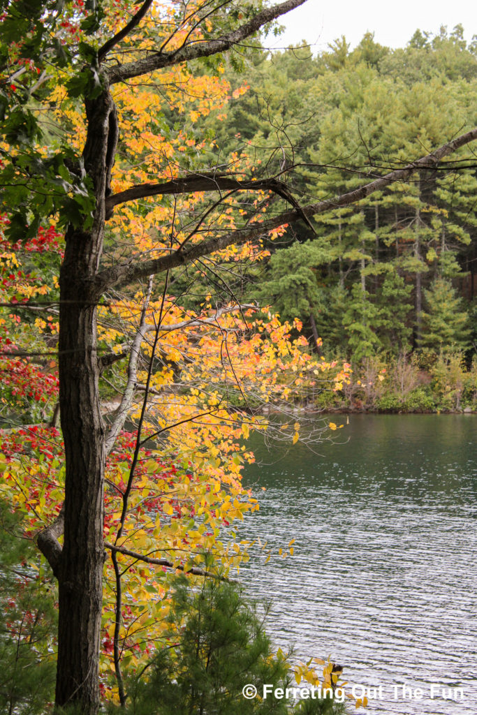 Autumn in Walden Pond, Massachusetts