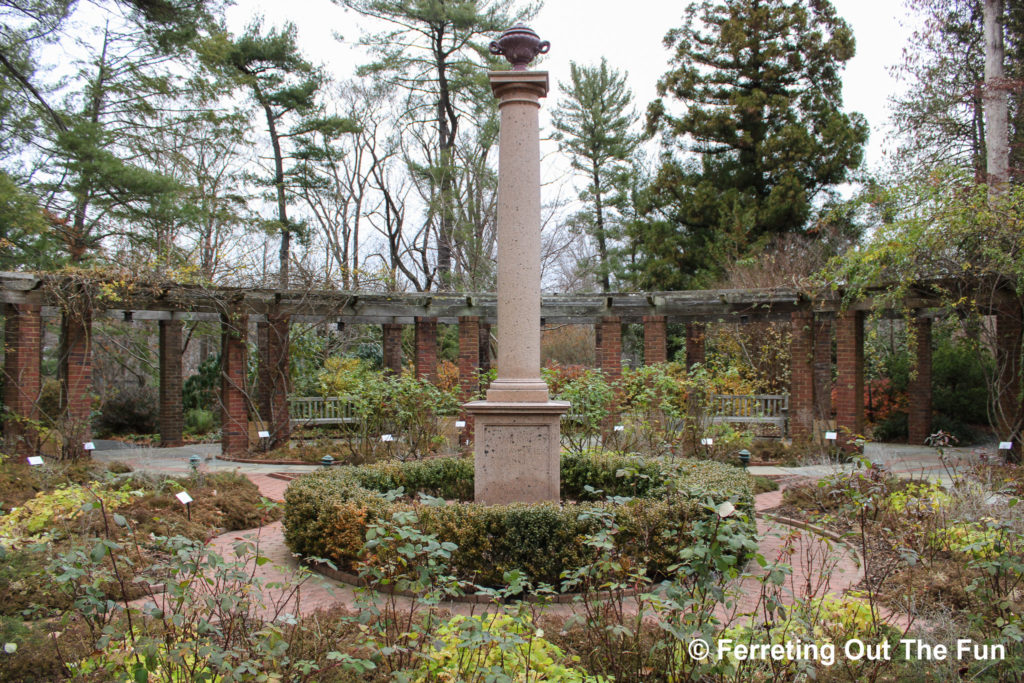 hillwood rose garden in autumn