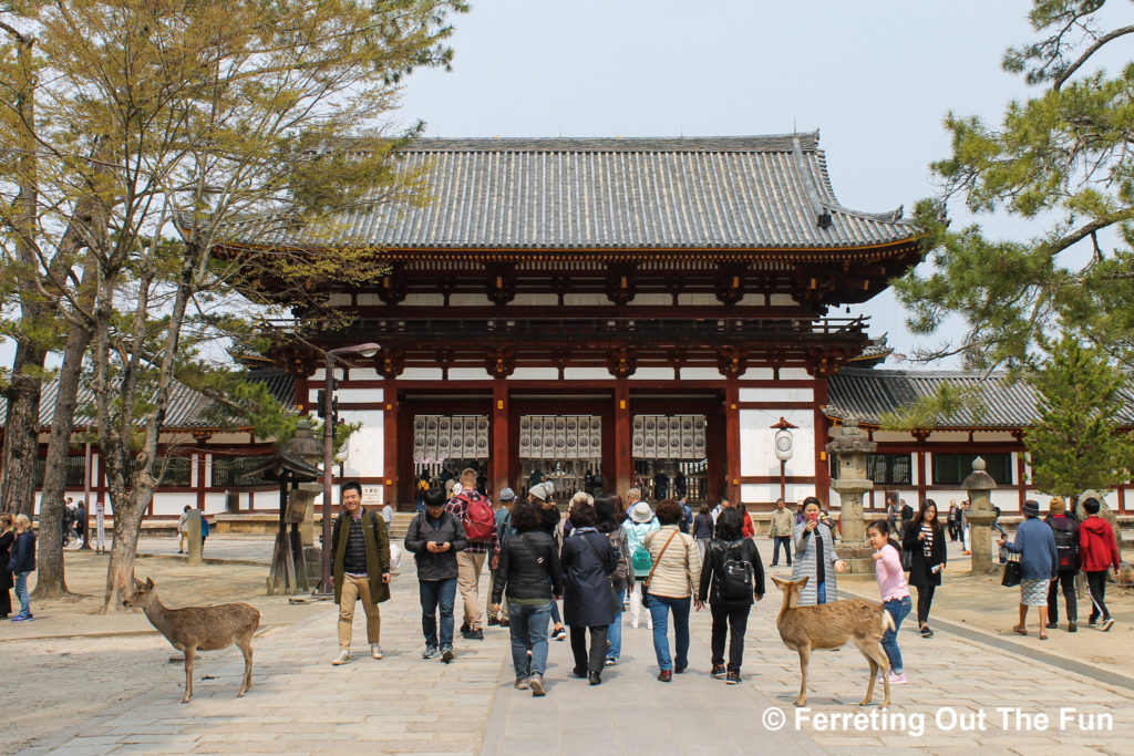 nara japan