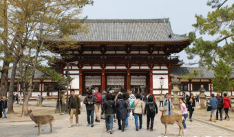 nara japan