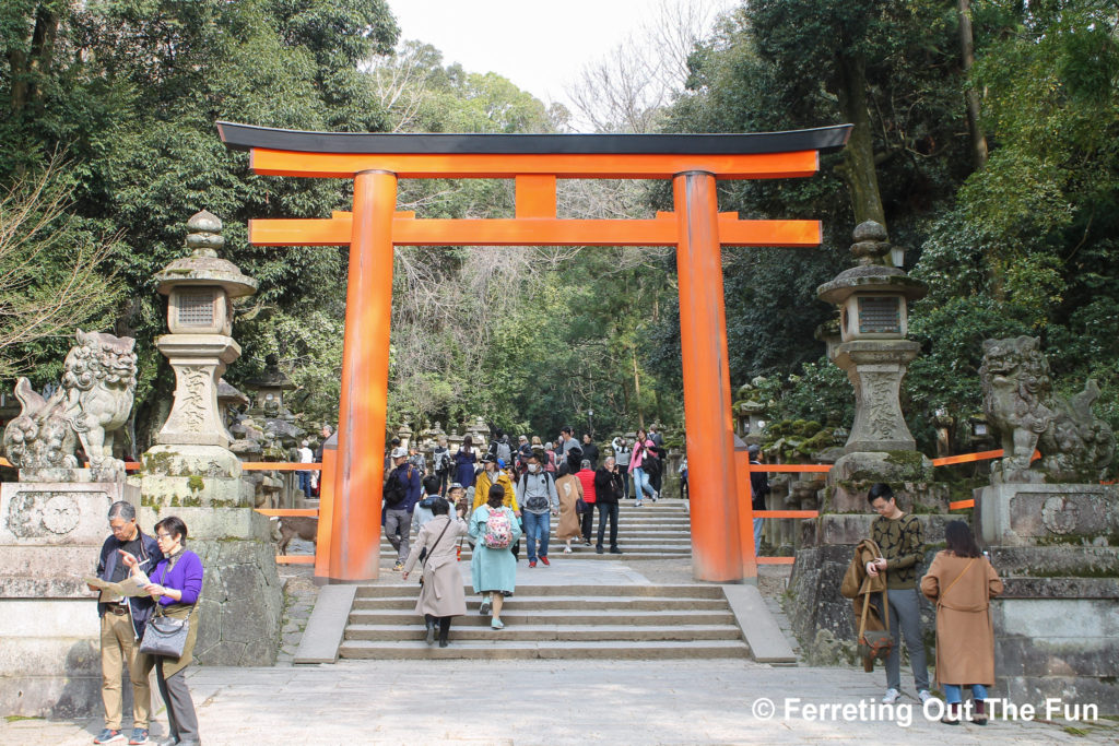 kasuga taisha