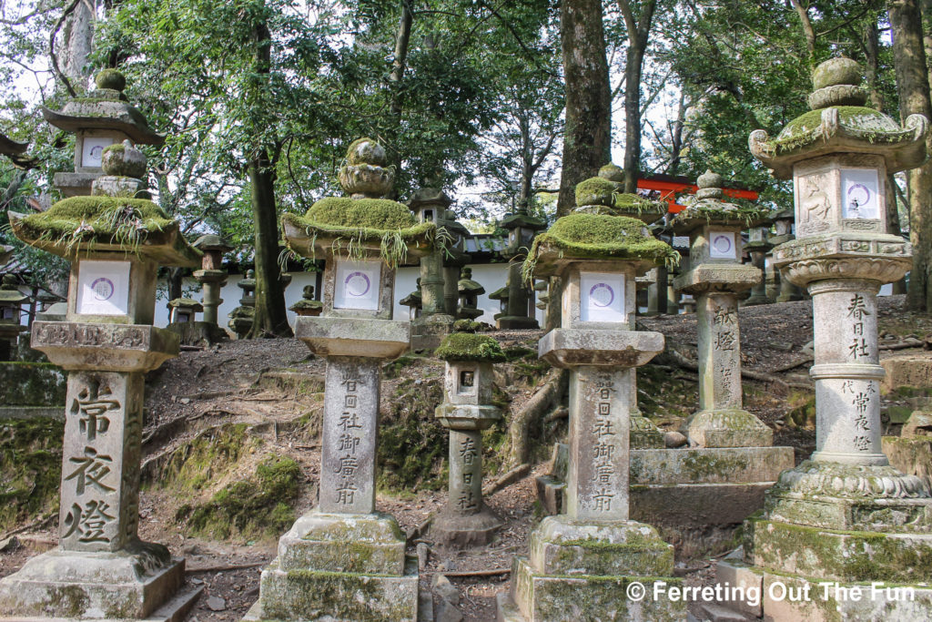 kasuga taisha lanterns