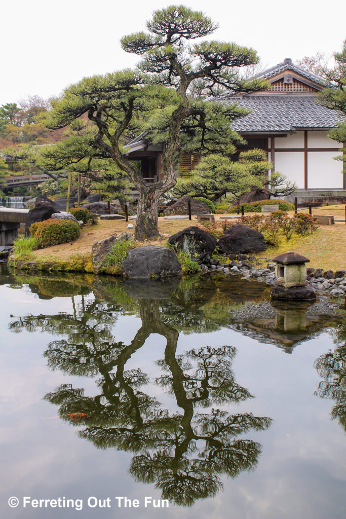 Kokoen Garden, a perfectly manicure landscape in Himeji, Japan