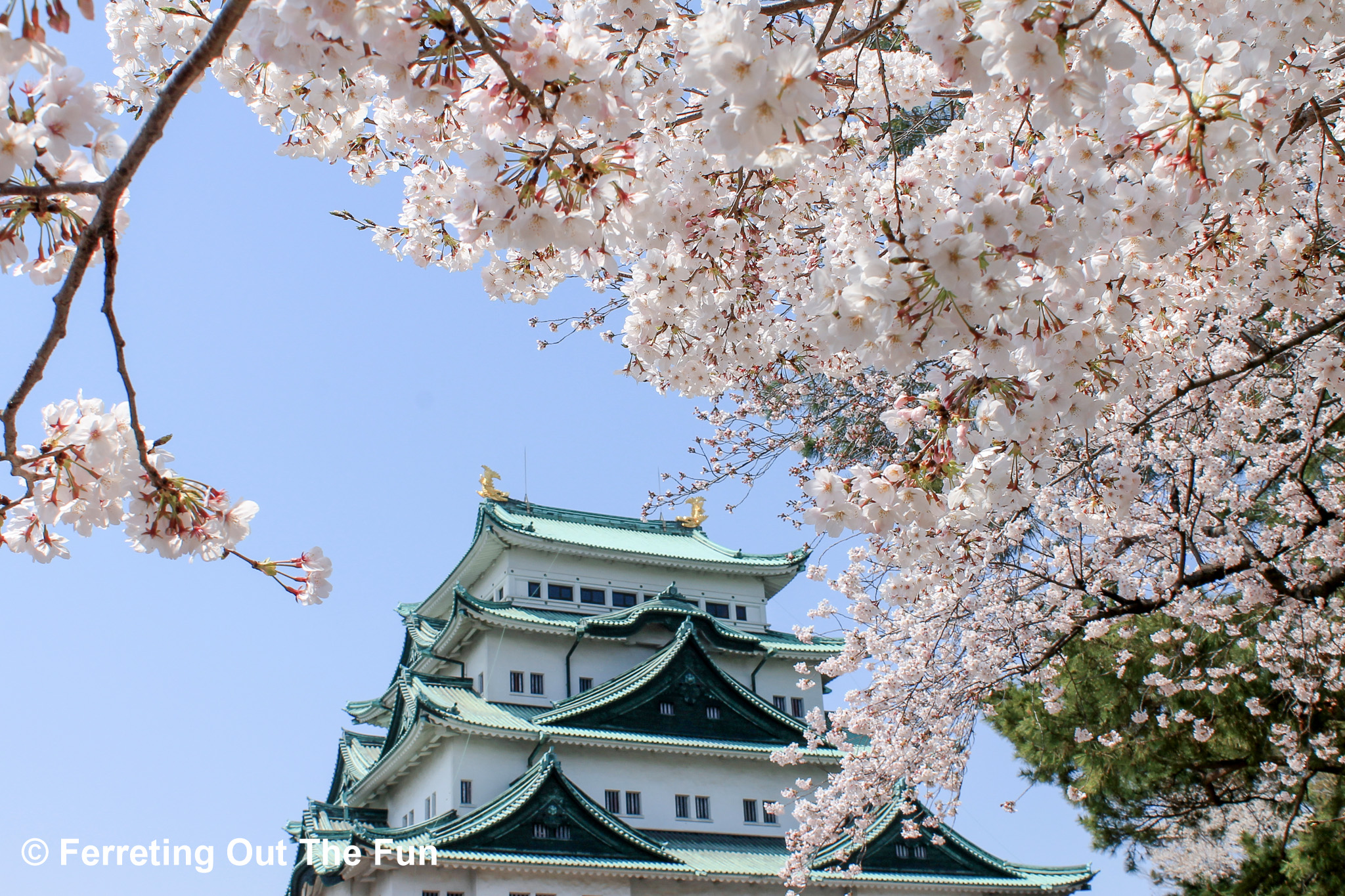 Unique Things to Do in Nagoya, Japan - Ferreting Out the Fun
