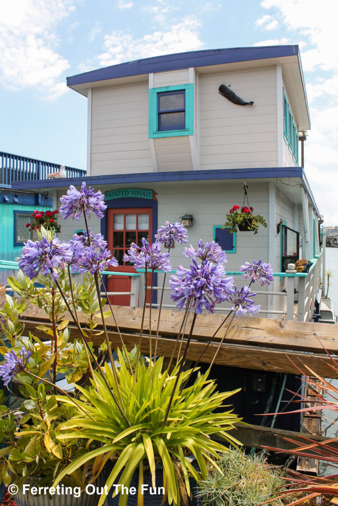 A colorful houseboat and garden in Sausalito, California
