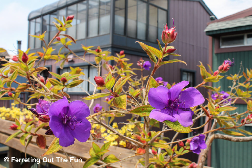 sausalito floating homes