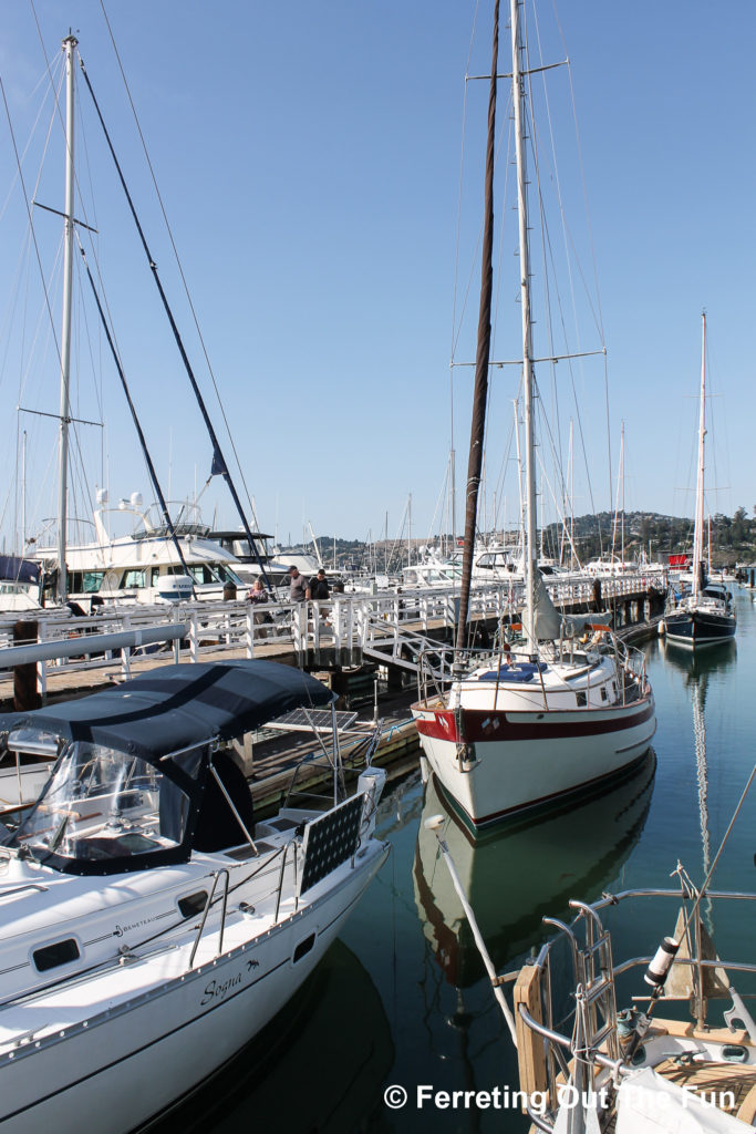 Sailboats docked at a yacht marina in Sausalito, California