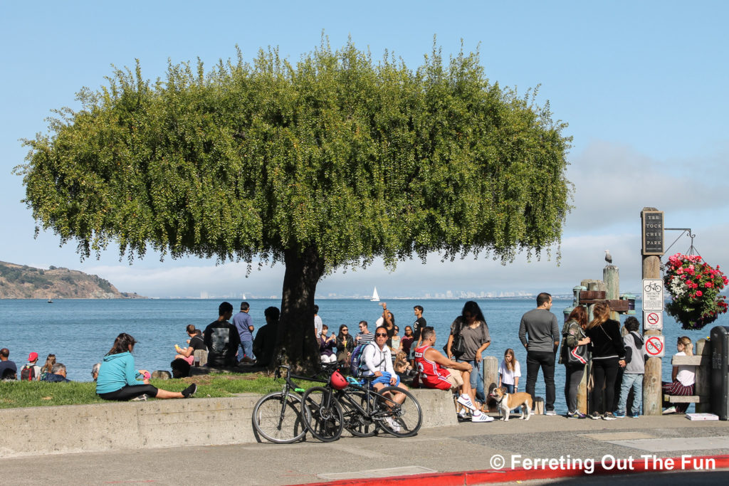 sausalito bay view