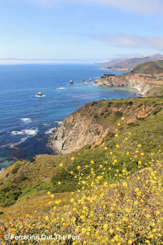 Summertime on the California coast