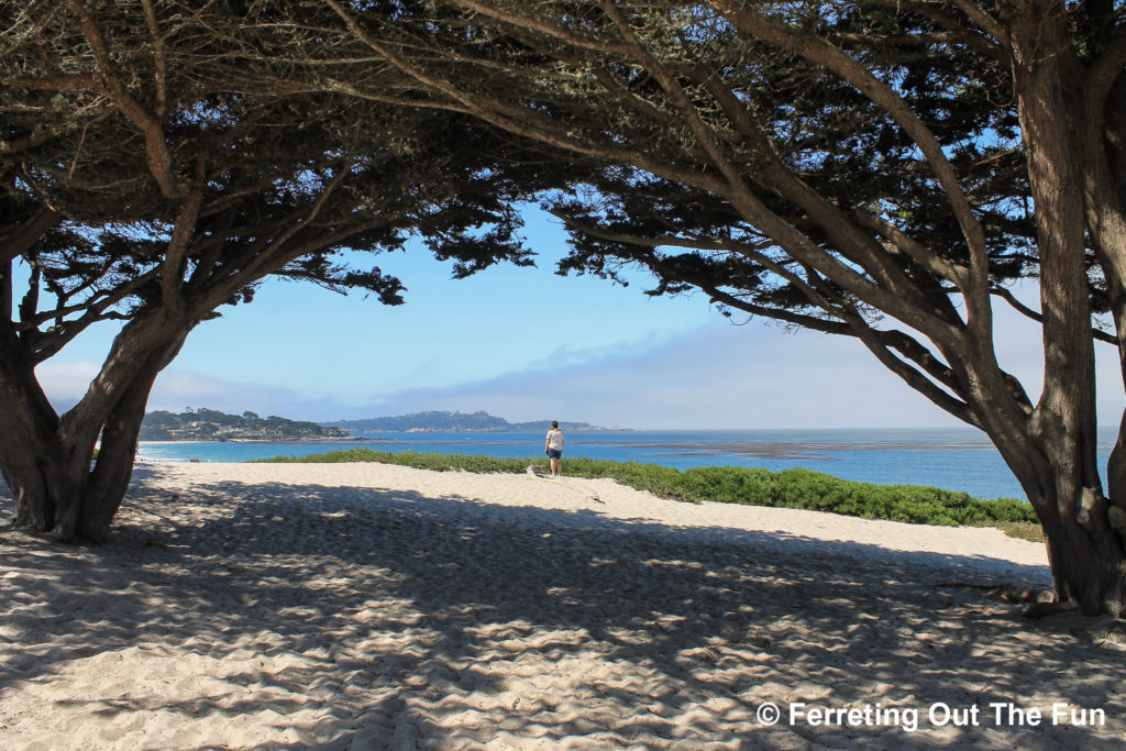 carmel-by-the-sea beach